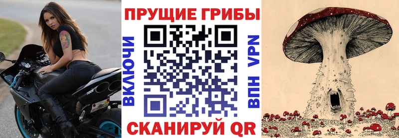 Галлюциногенные грибы Cubensis наркотики Дрезна